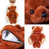 Brown Teddy Bear Back Pack (3)