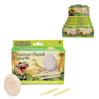 Dinosaur Fossil Digging Kits (12)