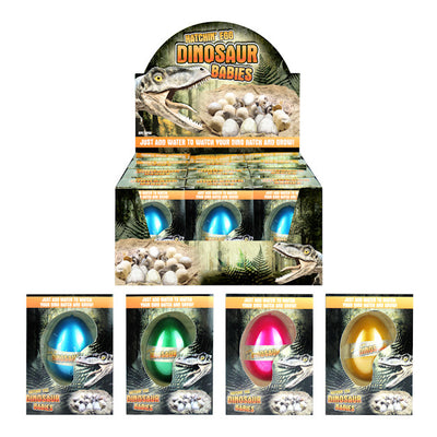 Growing Dinosaur Babies Egg Pet (12)